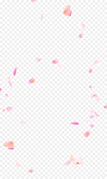 Petal Pink Flower - Falling Flowers 