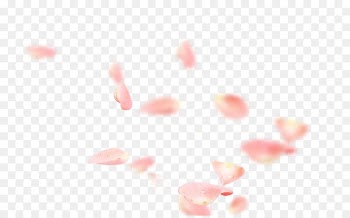 Petal Pink Flower Symbol - Pink rose petals 