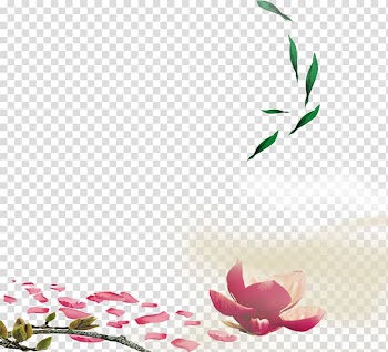Petal Pink , Leaves transparent background PNG clipart