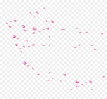 Petal Pink - Pink petals floating flying free material 