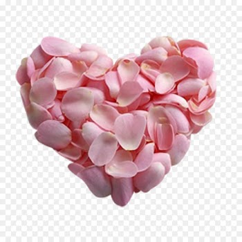 Petal Pink Rose Flower Heart - rose 