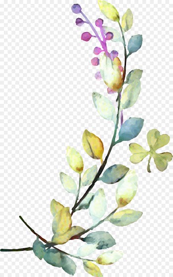 Petal, Plant Stem, Floral Design, Flower, Branch PNG