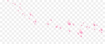 Petal Portable Network Graphics Adobe Photoshop Pink Image - flower petals 