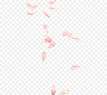 Petal Portable Network Graphics Flower Clip art Image - invitation elements 