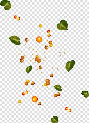 Petal Portable Network Graphics Leaf Fruit, Leaf transparent background PNG clipart