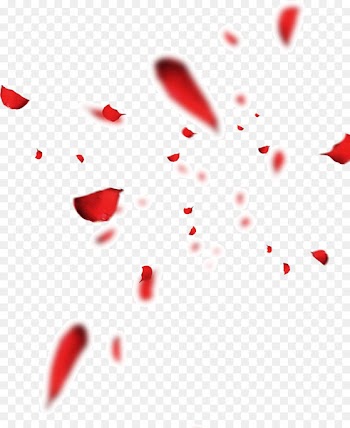 Petal Portable Network Graphics Wedding Image Red - floating 