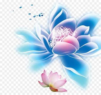 Petal Transparency and translucency Download - Transparent lotus 