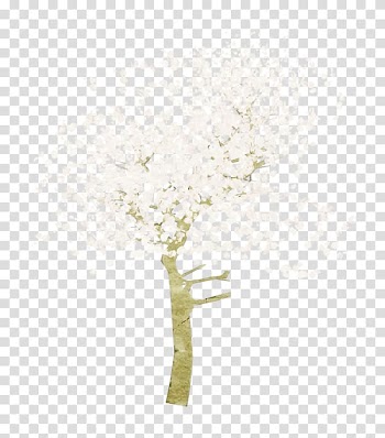 Petal Tree Cherry blossom , White cherry transparent background PNG clipart