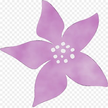 petal violet pink purple lilac