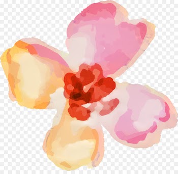 Petal, Watercolor Painting, Painting, Pink PNG