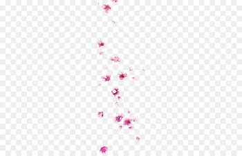Petal Watercolor painting - Watercolor peach petals flying 