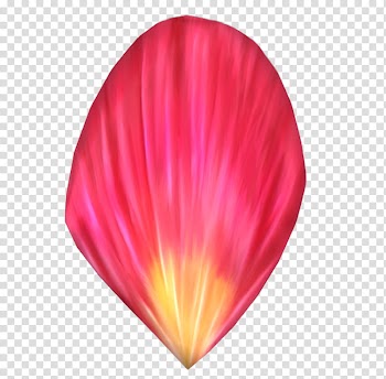 Petals, pink petaled flower transparent background PNG clipart