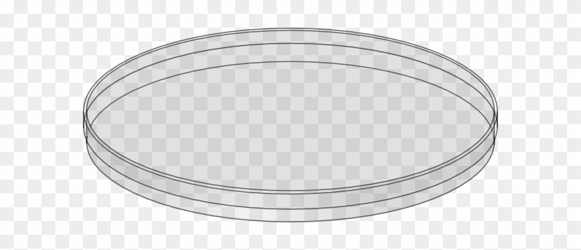Petri Dish Clipart - Petri Dish No Background