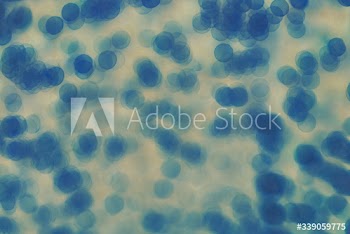 Petri dish close up background
