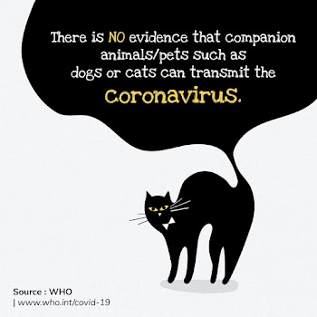 Pets can not transmit coronavirus social template source WHO vector | Free  vector - 2317475