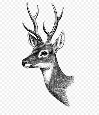 Phan Thiet Deer Paper Tattoo Sticker - HD Classical painted deer 