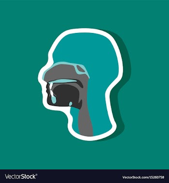 Pharynx paper sticker on stylish background vector image