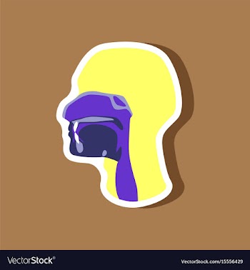 Pharynx paper sticker on stylish background vector image