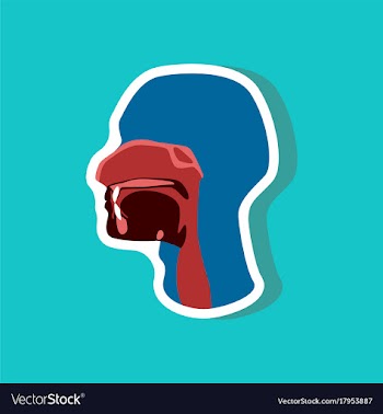 Pharynx paper sticker on stylish background vector image
