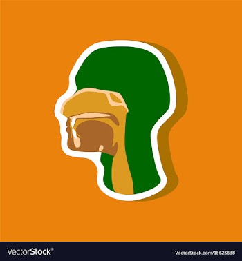 Pharynx paper sticker on stylish background vector image