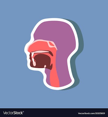 Pharynx paper sticker on stylish background vector image