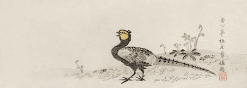Pheasant (1780 - 1820) vintage | Free Photo Illustration - rawpixel