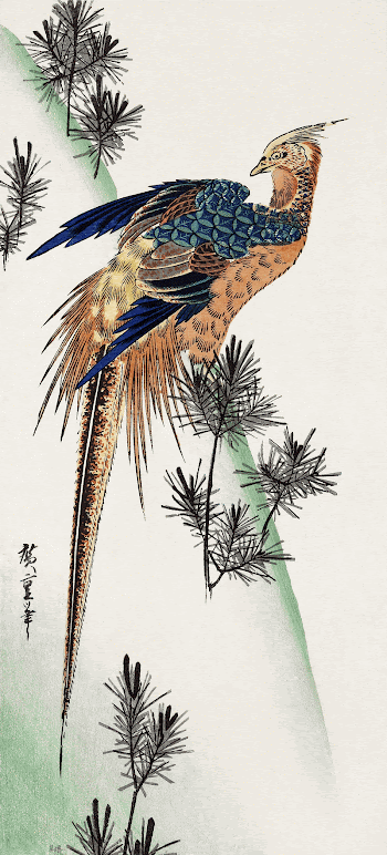 Pheasant (1797&ndash;1858) vintage Japanese woodblock | Free Photo Illustration - rawpixel