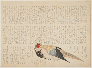 (Pheasant)Original from the Minneapolis Institute | Free Photo - rawpixel