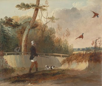 Pheasant Shooting | Free Photo - rawpixel