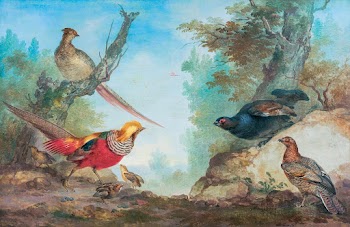 Pheasants (ca. 1730&ndash;1760) painting in… | Free public domain illustration