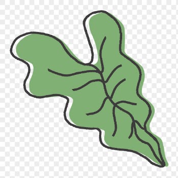 Philodendron leaf png collage element, | Free PNG - rawpixel