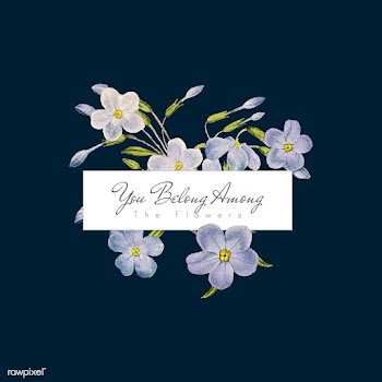Phlox flowers banner | Free stock vector - 545033