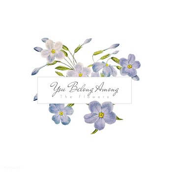 Phlox flowers banner | Free stock vector - 545037