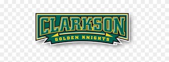 Phoenix Design Works Creates Word Mark Logos As Part - Wincraft Clarkson Golden Knights 27'' X 37'' Vertical