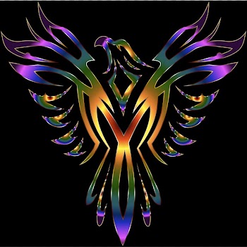 Phoenix Line art Desktop Color, Phoenix transparent background PNG clipart