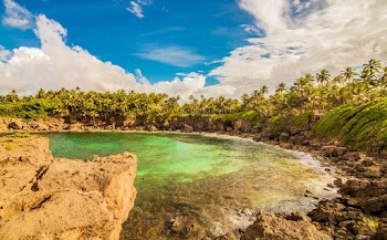 Photo Beach Surrounded by Palm Trees