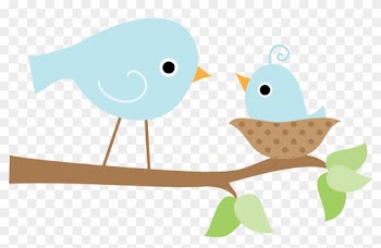 Photo By @selmabuenoaltran - Baby Bird In Nest Clip Art