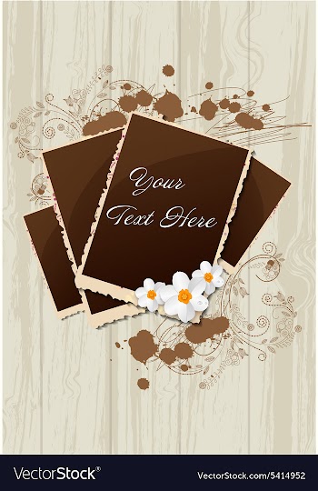 Photo frames with grunge vector image