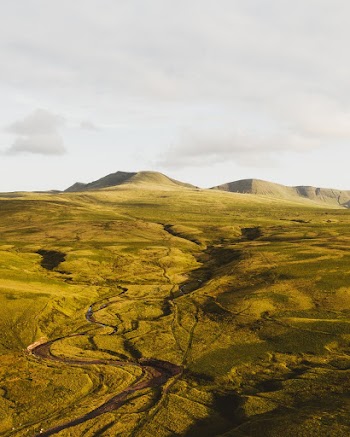 Photo Grassland