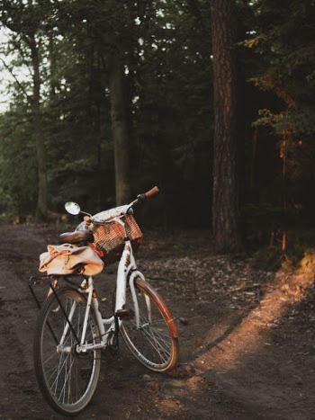 Photo of a Bike Parked  Near Trees