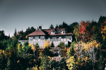Photo of a House Surrounded by Trees