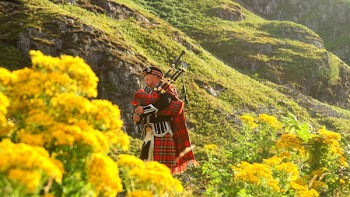 Photo of a Man in Red, Black, and White Plaid Traditional Suit on Yellow Flower Field