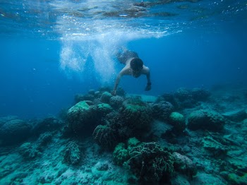 Photo of a Man Swimming Underwater