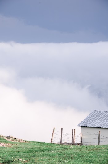 Photo of a Metal Roofed White House on a Grassy Field