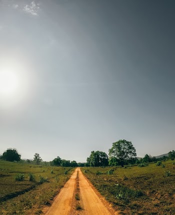 Photo of a Narrow Road at Rural Area