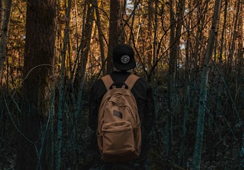 Photo of a Person at the Forest