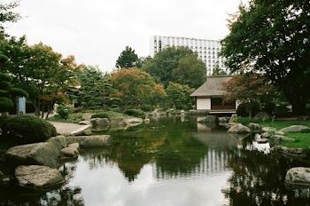 Photo of a Pond