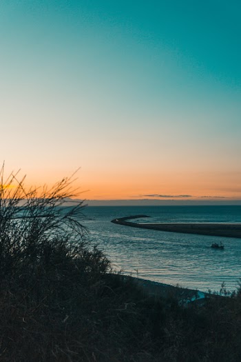 Photo of a Shoreline 