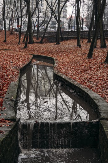 Photo of a Water System Between Trees Outdoor