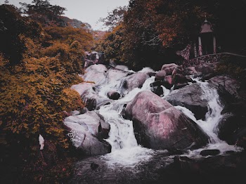 Photo of a Waterfalls Surrounded by Trees